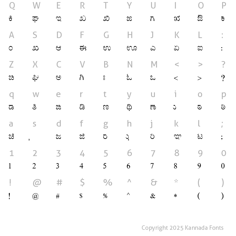 nudi 4.0 keyboard layout